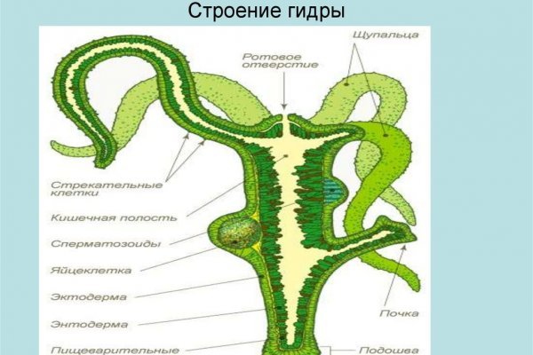 Даркнет зеркало