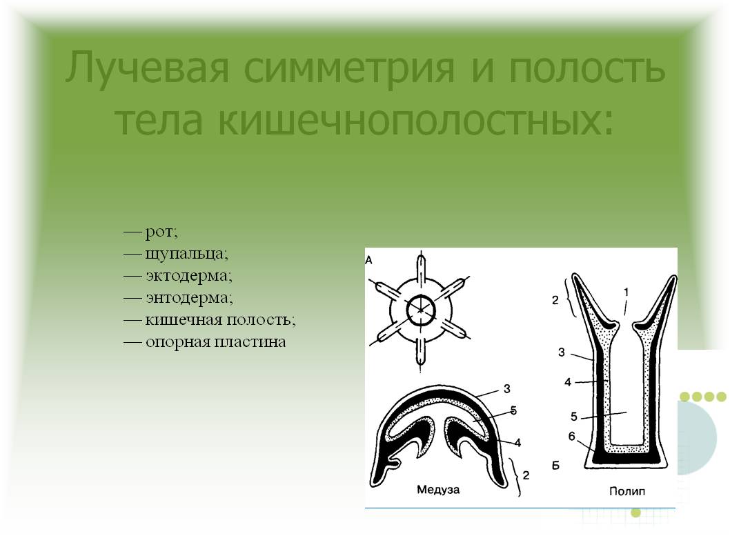 Кракен магазин vk2 top